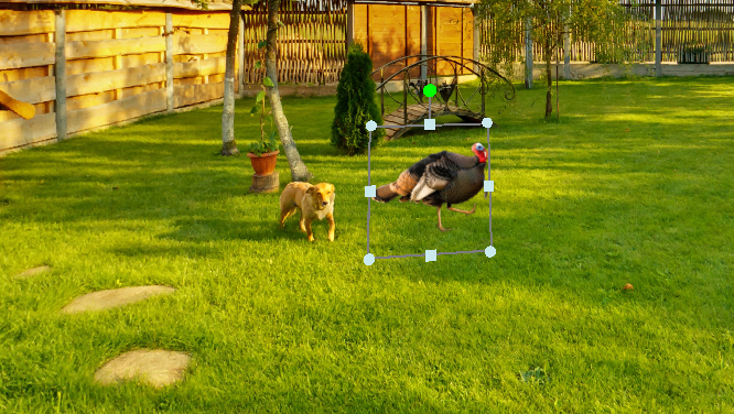 Screenshot of a turkey object selected to be animated in CenarioVR