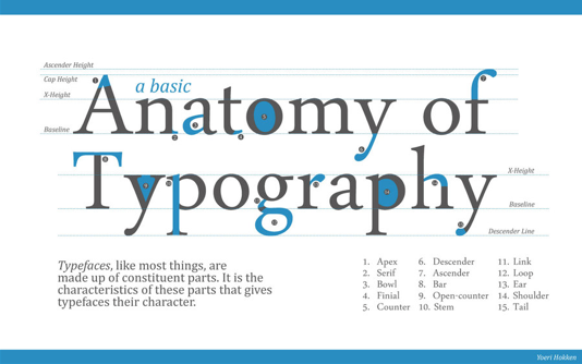 Anatomy of Typography graphic